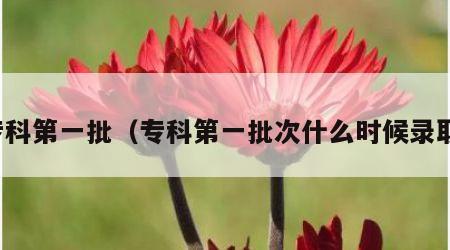 专科第一批（专科第一批次什么时候录取）