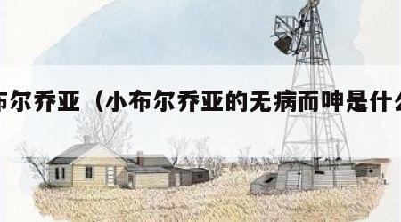 小布尔乔亚（小布尔乔亚的无病而呻是什么意思）
