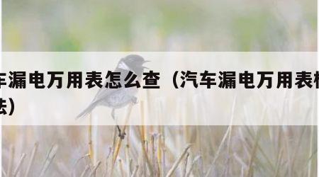 汽车漏电万用表怎么查（汽车漏电万用表检测方法）