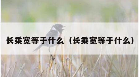 长乘宽等于什么（长乘宽等于什么）