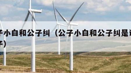 公子小白和公子纠（公子小白和公子纠是谁的儿子）