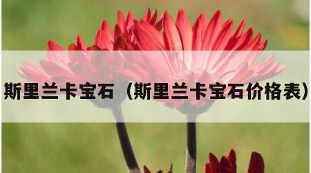 斯里兰卡宝石（斯里兰卡宝石价格表）