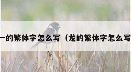 一的繁体字怎么写（龙的繁体字怎么写）