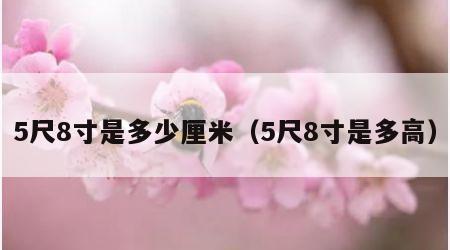5尺8寸是多少厘米（5尺8寸是多高）