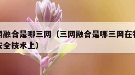三网融合是哪三网（三网融合是哪三网在物联网安全技术上）