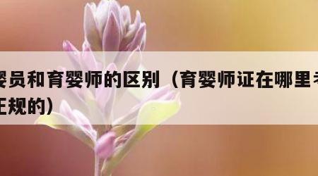 育婴员和育婴师的区别（育婴师证在哪里考才是正规的）