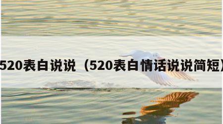 520表白说说（520表白情话说说简短）