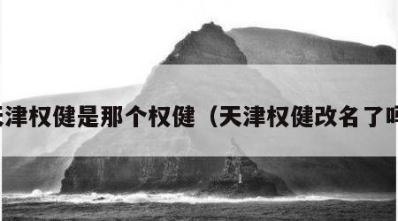 天津权健是那个权健（天津权健改名了吗）