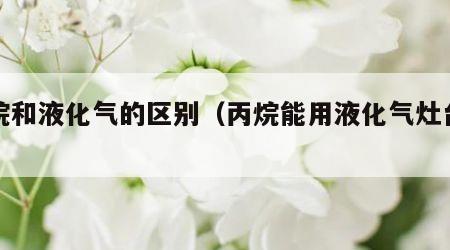 丙烷和液化气的区别（丙烷能用液化气灶台吗）