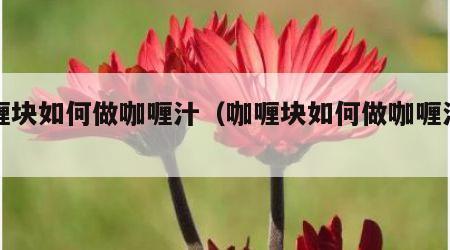 咖喱块如何做咖喱汁（咖喱块如何做咖喱汁窍门）