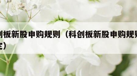 科创板新股申购规则（科创板新股申购规则及规定）