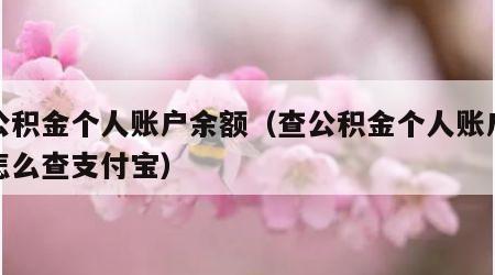 查公积金个人账户余额（查公积金个人账户余额怎么查支付宝）