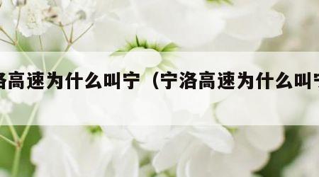 宁洛高速为什么叫宁（宁洛高速为什么叫宁洛）