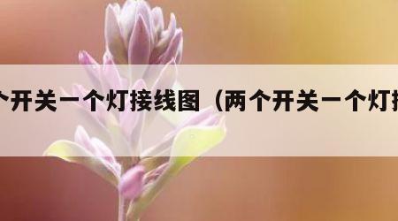 两个开关一个灯接线图（两个开关一个灯接线图）