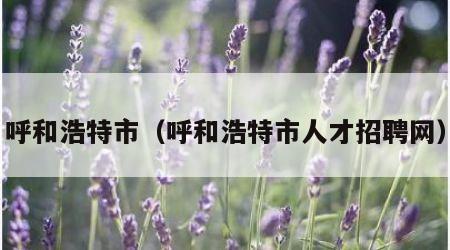 呼和浩特市（呼和浩特市人才招聘网）