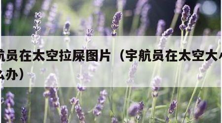 宇航员在太空拉屎图片（宇航员在太空大小便怎么办）
