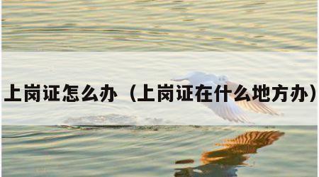 上岗证怎么办（上岗证在什么地方办）