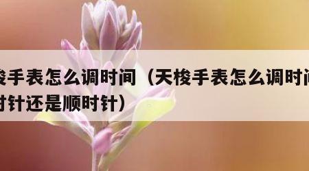 天梭手表怎么调时间（天梭手表怎么调时间是逆时针还是顺时针）