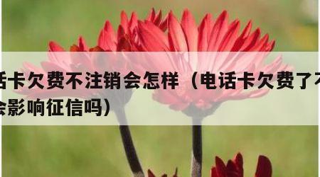 电话卡欠费不注销会怎样（电话卡欠费了不注销会影响征信吗）