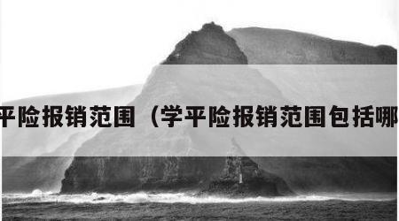 学平险报销范围（学平险报销范围包括哪些）