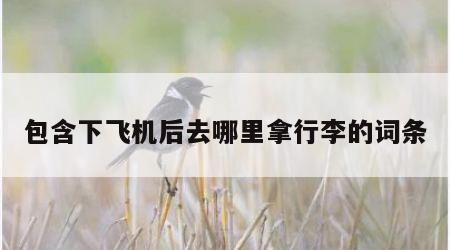 包含下飞机后去哪里拿行李的词条