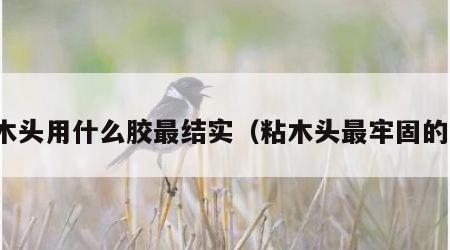 粘木头用什么胶最结实（粘木头最牢固的胶）