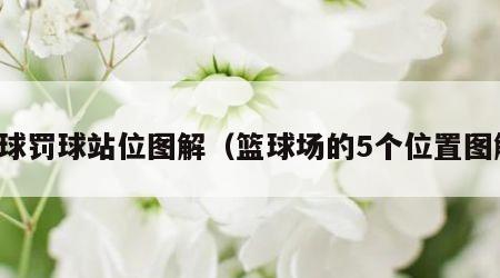 篮球罚球站位图解（篮球场的5个位置图解）