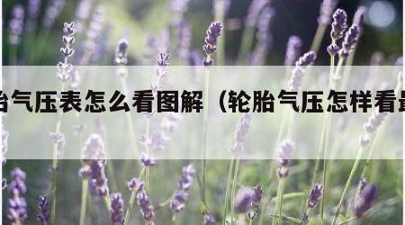 轮胎气压表怎么看图解（轮胎气压怎样看最准确）