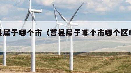莒县属于哪个市（莒县属于哪个市哪个区哪个省）