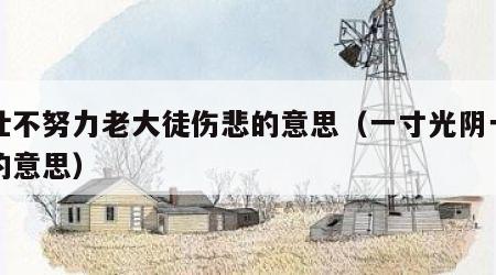 少壮不努力老大徒伤悲的意思（一寸光阴一寸金的意思）
