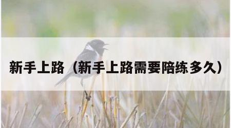 新手上路（新手上路需要陪练多久）