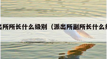 派出所所长什么级别（派出所副所长什么级别）