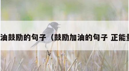 加油鼓励的句子（鼓励加油的句子 正能量）