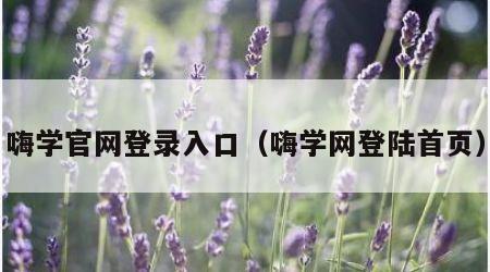 嗨学官网登录入口（嗨学网登陆首页）