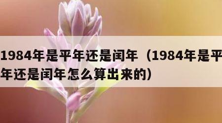 1984年是平年还是闰年（1984年是平年还是闰年怎么算出来的）
