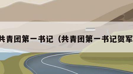 共青团第一书记（共青团第一书记贺军）