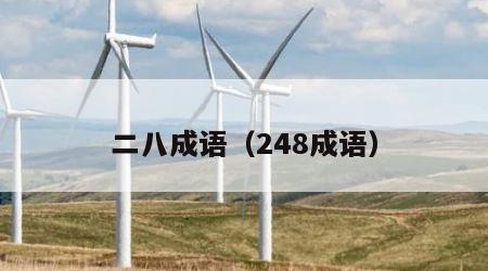 二八成语（248成语）