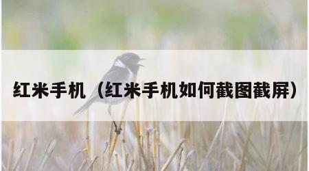 红米手机（红米手机如何截图截屏）