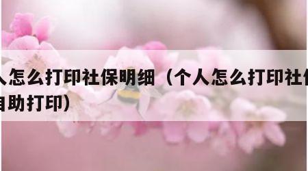 个人怎么打印社保明细（个人怎么打印社保明细自助打印）