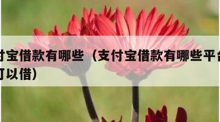 支付宝借款有哪些（支付宝借款有哪些平台学生可以借）