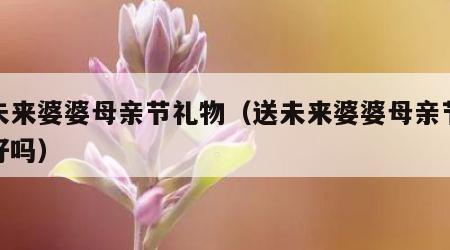 送未来婆婆母亲节礼物（送未来婆婆母亲节礼物好吗）