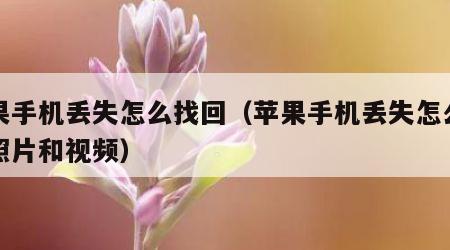 苹果手机丢失怎么找回（苹果手机丢失怎么找回照片和视频）