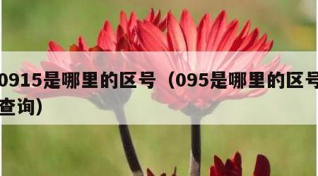 0915是哪里的区号（095是哪里的区号查询）