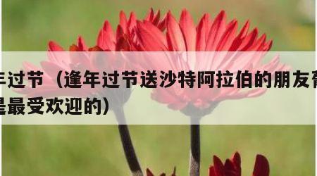 逢年过节（逢年过节送沙特阿拉伯的朋友葡萄酒是最受欢迎的）