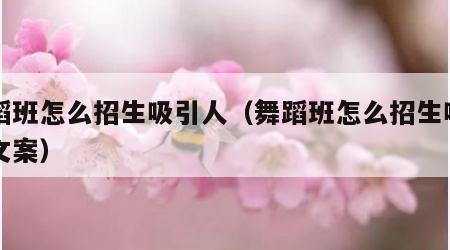 舞蹈班怎么招生吸引人（舞蹈班怎么招生吸引人文案）