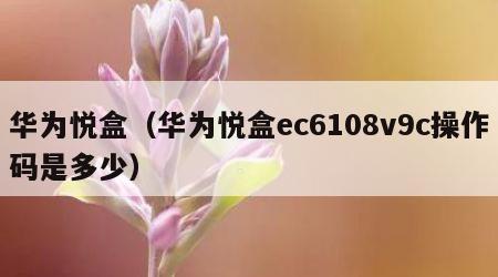 华为悦盒（华为悦盒ec6108v9c操作码是多少）