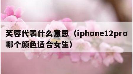 芙蓉代表什么意思（iphone12pro哪个颜色适合女生）