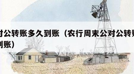 公对公转账多久到账（农行周末公对公转账多久到账）