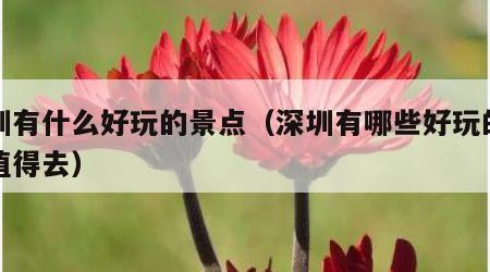 深圳有什么好玩的景点（深圳有哪些好玩的景点值得去）