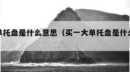 大单托盘是什么意思（买一大单托盘是什么意思）